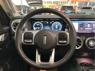2021 Tank 300 Off-road Version 2.0T Conqueror, фото 4, лот 10344117