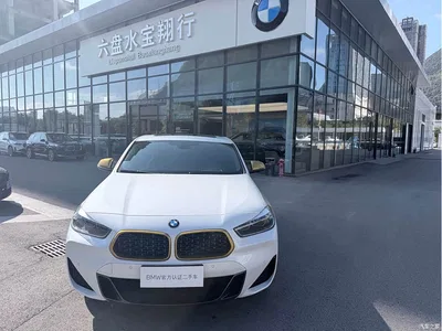 2023 BMW X2 sDrive 25i Radiance Edition, фото 1, лот 11569044