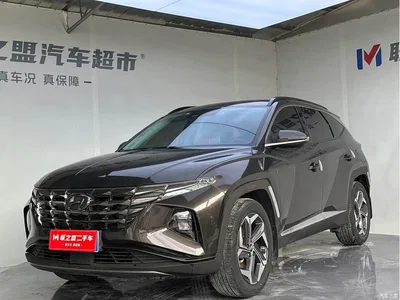 2021 Hyundai Tucson L 1.5T DCT LUX Premium, фото 1, лот 10371313