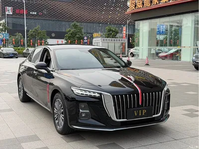 2024 Hongqi H5 1.5T DCT Smart Connect Flag Joy Edition, фото 3, лот 11135913