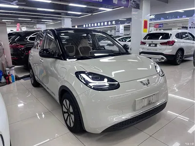 2024 Wuling Motors Wuling Bingo 333km Smart Connect Edition, фото 2, лот 10350195