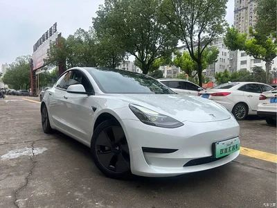 2020 Tesla Model 3 Standard Range Rear-Wheel Drive Upgrade, фото 3, лот 10366959