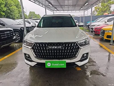 2023 Haval H6 National Trend Edition 1.5T Automatic Champion, фото 3, лот 10285615