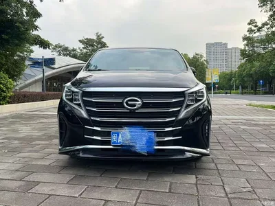 2021 GAC Trumpchi Trumpchi M8 Leading Show Series 390T Ultimate Edition, фото 2, лот 11097809