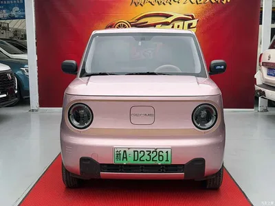 2025 Geely Galaxy Panda Model Year 210km Panda Kart, фото 2, лот 10894613