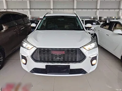2018 Haval H6 Coupe Red Label 1.5T Auto 2WD Ultra Luxury, фото 3, лот 10285745