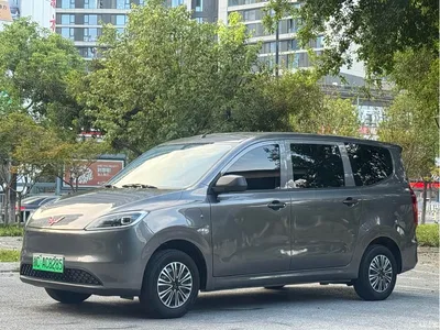 2024 Wuling Motors Wuling Hongguang New Energy Pure Electric 300KM Standard, фото 1, лот 11148422