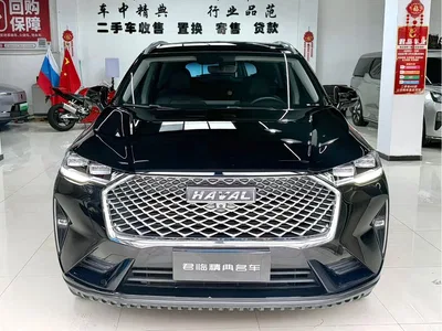 2023 Haval H6 National Trend Edition 1.5T Automatic Champion, фото 2, лот 10283228