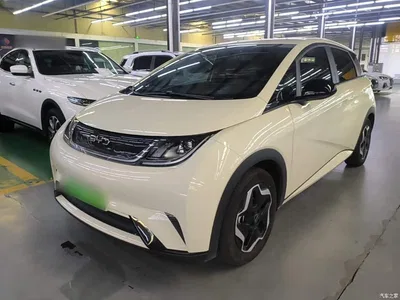 2024 BYD Dolphin Glory Edition 420km Freedom Edition, фото 2, лот 10260382