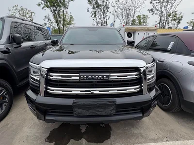 2023 Haval H5 2.0T Automatic 4WD Leading Edition Diesel, фото 2, лот 10281713