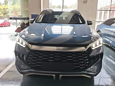 2023 BYD Song Pro New Energy Champion Edition DM-i 71KM Pilot Model, фото 3, лот 10389597