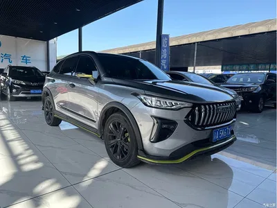 2021 Haval Chitu Boost Edition 1.5T Platinum Rabbit, фото 3, лот 10282817