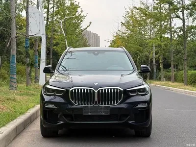 2021 BMW X5 (Import) Facelift xDrive30i M Sport Package, фото 2, лот 10334309