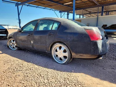 2005 NISSAN MAXIMA SE, фото 2, лот 10731856