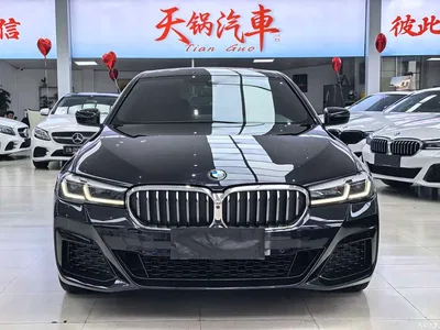 2022 BMW 5 Series Facelift II 530Li Premium Package M Sport, фото 1, лот 11249105