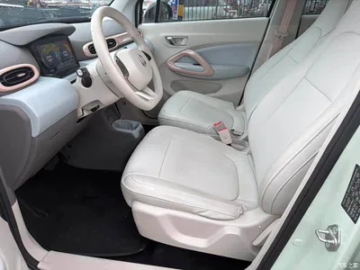 2024 Leapmotor T03 310 Comfort Edition, фото 4, лот 10445594