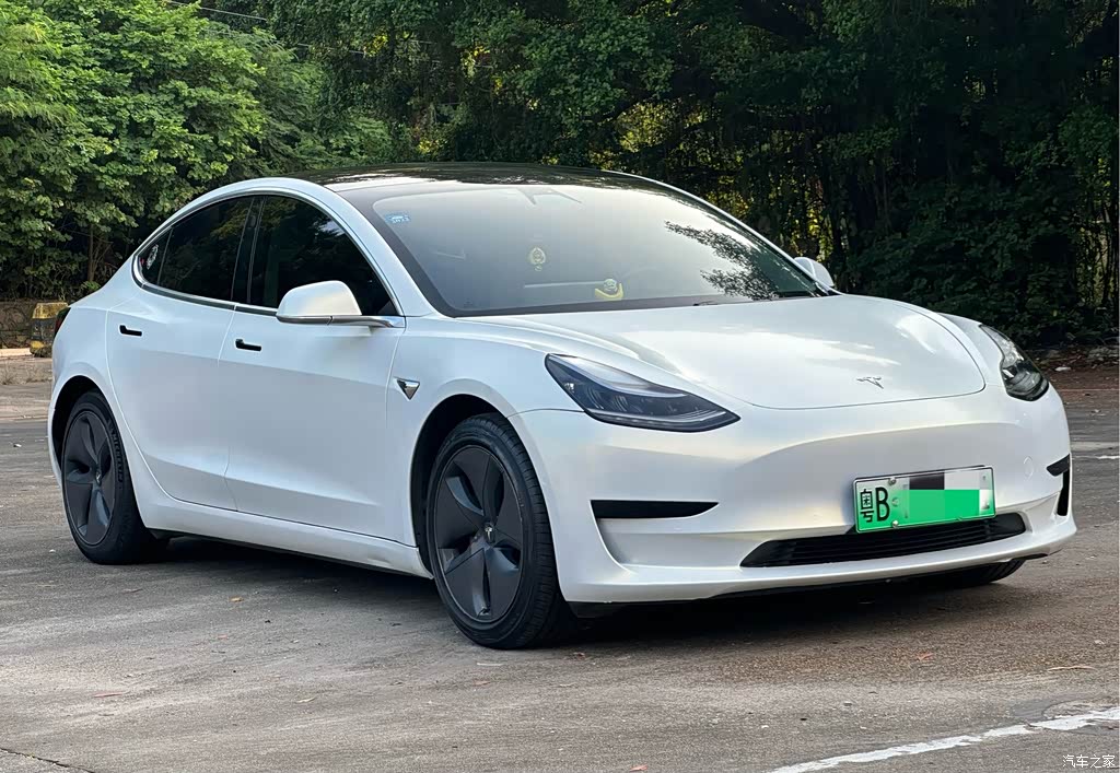 2019 Tesla Model 3 Standard Range Rear-Wheel Drive Upgrade, фото 4, лот 11227976