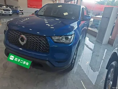 2021 Great Wall Pao 2.0T Commercial Edition Automatic Diesel 2WD Elite Long Box GW4D20M, фото 1, лот 10246298
