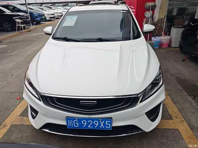 2020 Geely Binrui Facelift 1.4T CVT Asian Games Edition, фото 2, лот 11249192