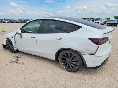 2024 TESLA MODEL Y, фото 2, лот 10646923