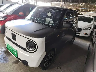 2023 Geely Galaxy Panda Mini 200km Endurance Bear, фото 1, лот 10774640