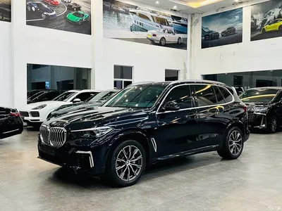 2022 BMW X5 Facelift xDrive 30Li M Sport Package, фото 1, лот 11220185