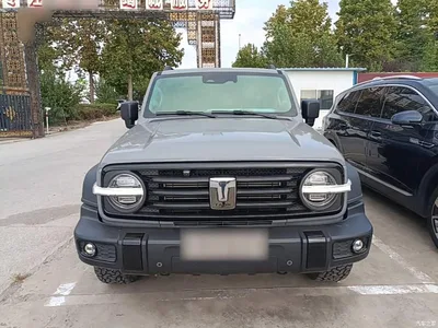 2021 Tank 300 Off-road Version 2.0T Conqueror, фото 3, лот 10662393