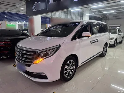 2019 GAC Trumpchi Trumpchi M8 320T Ultimate Edition, фото 1, лот 11192571