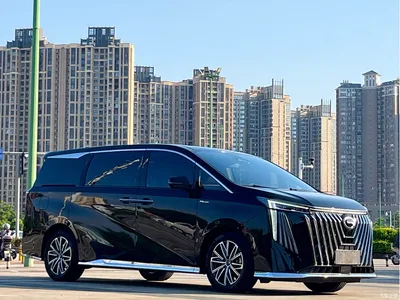 2024 GAC Trumpchi Trumpchi M8 Patriarch Series 400T Ultimate Edition, фото 3, лот 10415686
