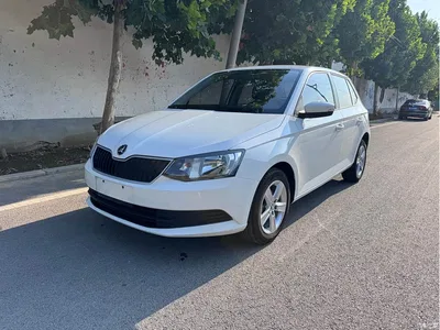 2017 Škoda Fabia 1.4L Auto Car Enjoy Edition, фото 1, лот 10348435