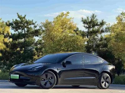 2022 Tesla Model 3 Model Rear-Wheel Drive Version, фото 1, лот 10455083