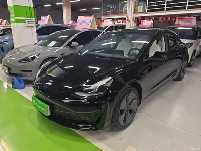 2022 Tesla Model 3 Model Rear-Wheel Drive Version, фото 1, лот 11198415