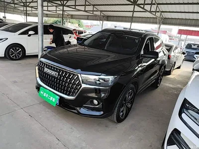 2023 Haval H6 National Trend Edition 1.5T Automatic Champion, фото 1, лот 10764179
