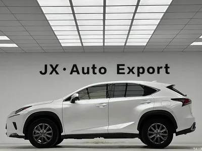 2018 Lexus NX Model 200 FWD Fengxing Edition China V, фото 4, лот 10667961