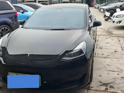 2023 Tesla Model 3 Long Range All-Wheel Drive, фото 3, лот 10350886