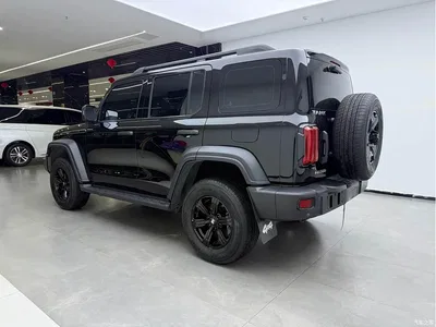 2021 Tank 300 Off-road Version 2.0T Conqueror, фото 4, лот 11190796