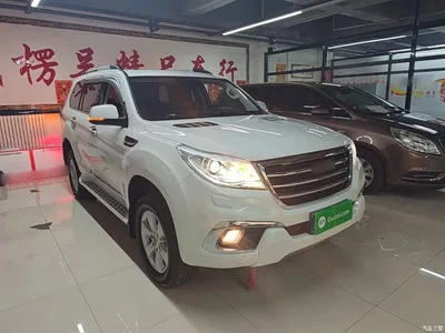 2016 Haval H9 2.0T 4WD Luxury 5-seater, фото 4, лот 10417362