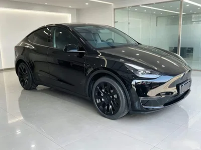 2021 Tesla Model Y Standard Range Rear-Wheel Drive, фото 4, лот 10370340