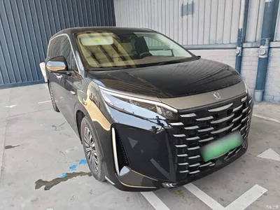 2025 BYD Xia DM-i 1.5T 180km Excellence, фото 4, лот 10271390