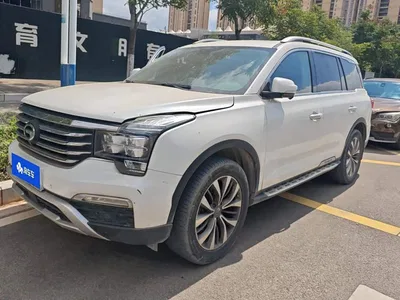 2017 GAC Trumpchi Trumpchi GS8 320T 2WD Luxury Smart Connect (7-seater), фото 1, лот 11202862