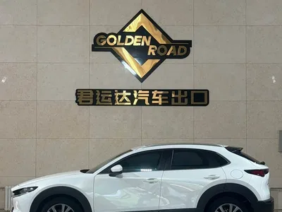2022 Mazda CX-30 2.0L Automatic Excellence Joy Model, фото 3, лот 10327123