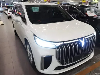 2022 Voyah Auto Voyah Dreamer Low Carbon Edition Home, фото 4, лот 11301819