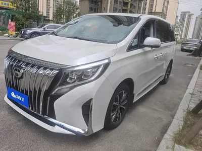 2023 GAC Trumpchi Trumpchi M8 Leading Series 390T Luxury Edition, фото 1, лот 10386401