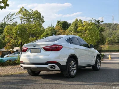 2015 BMW X6 xDrive35i Luxury Model, фото 4, лот 10237482