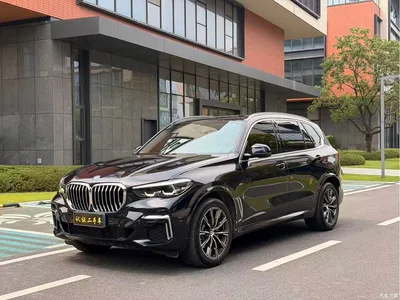 2022 BMW X5 xDrive 30Li M Sport Package, фото 1, лот 11073182