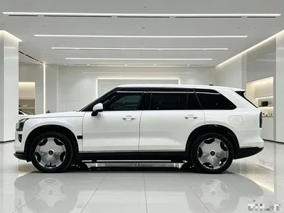 2025 ZEEKR 9X Model Standard, фото 3, лот 11205136