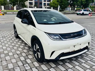 2021 Byd Dolphin, фото 2, лот 10244444