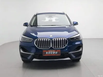 2020 BMW X1 sDrive20Li Premium Edition, фото 3, лот 11184277