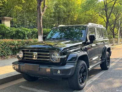 2021 Tank 300 Urban Edition 2.0T Stylish, фото 1, лот 10346474