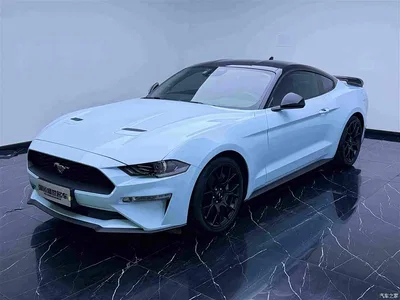 2021 Ford Mustang 2.3T EcoBoost, фото 1, лот 10292646